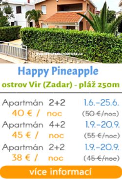 Happy Pineapple ostrov Vir